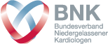 BNK_logo_neu